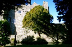 Drimnagh Castle Moat